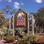 Busch Gardens Usf 10 Mi To Dt Tampa