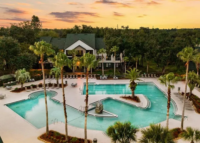 Busch Gardens Usf 10 Mi To Dt Tampa