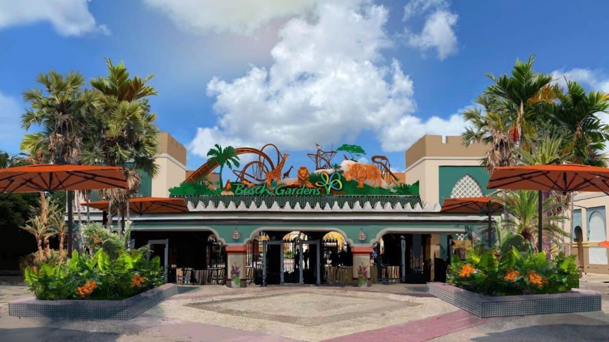 Busch Gardens Usf 10 Mi To Dt Apartment *