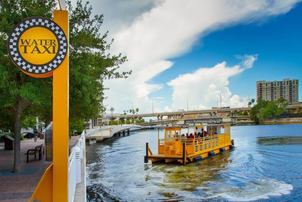 Busch Gardens Usf 10 Mi To Dt