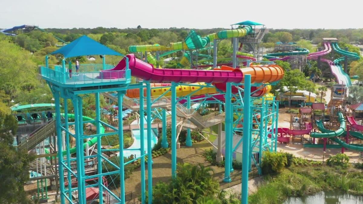 Busch Gardens Usf 10 Mi To Dt Tampa