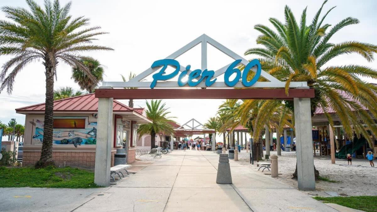 Busch Gardens Usf 10 Mi To Dt * Tampa