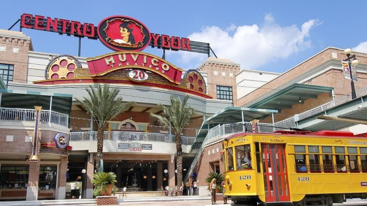 Busch Gardens Usf 10 Mi To Dt Apartment Tampa