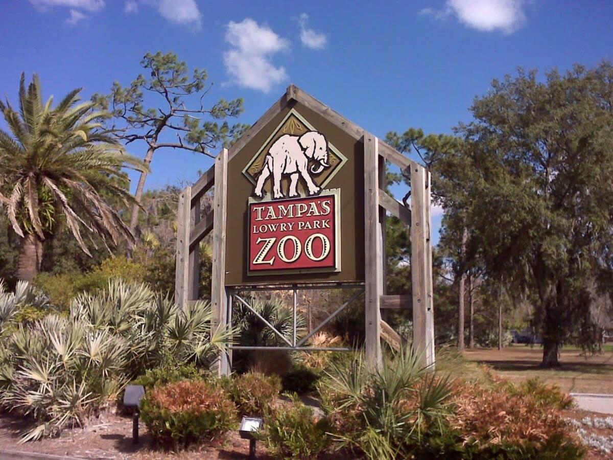 Busch Gardens Usf 10 Mi To Dt