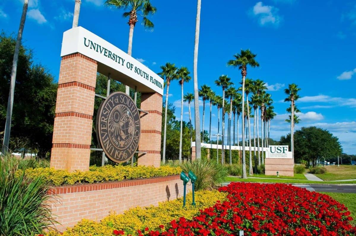 Busch Gardens Usf 10 Mi To Dt *
