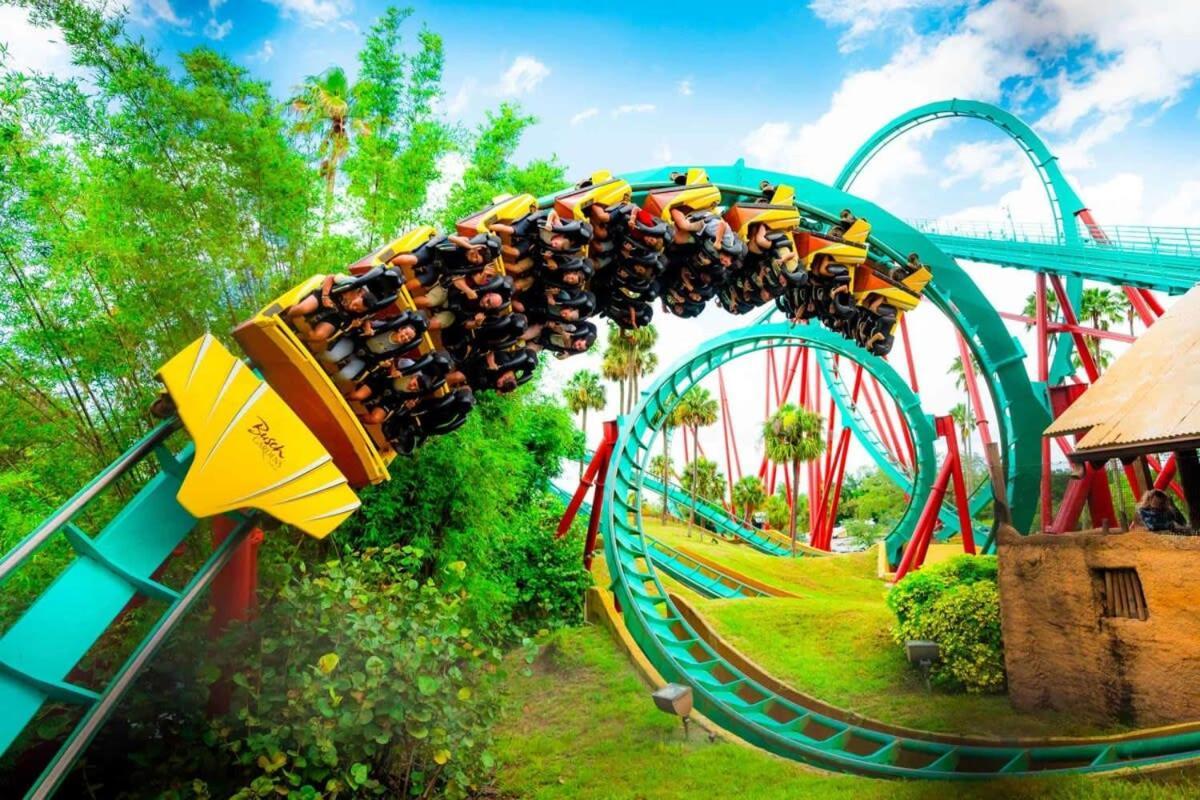 Busch Gardens Usf 10 Mi To Dt Apartment *